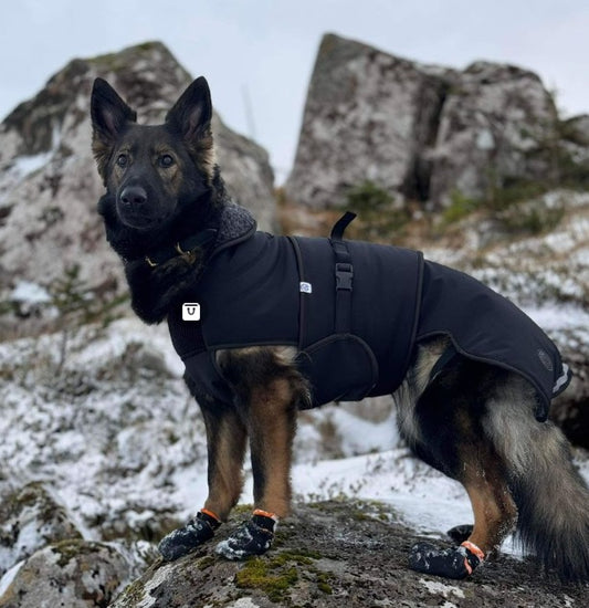 Canelana - heit klæðir og teppir til hund og eigara koma skjótt